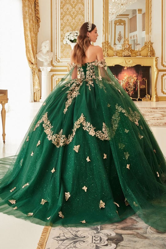 Modelo 15721