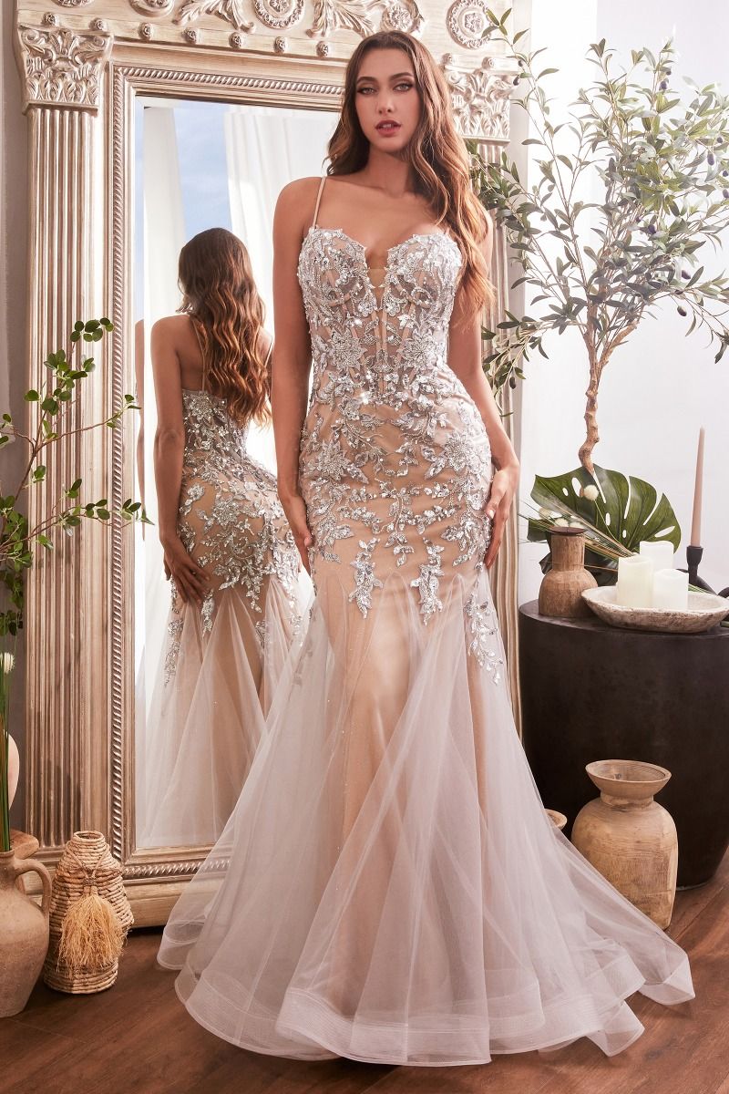 Modelo CDS488