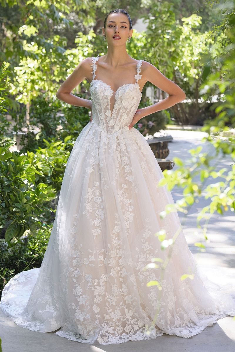 Model WL058