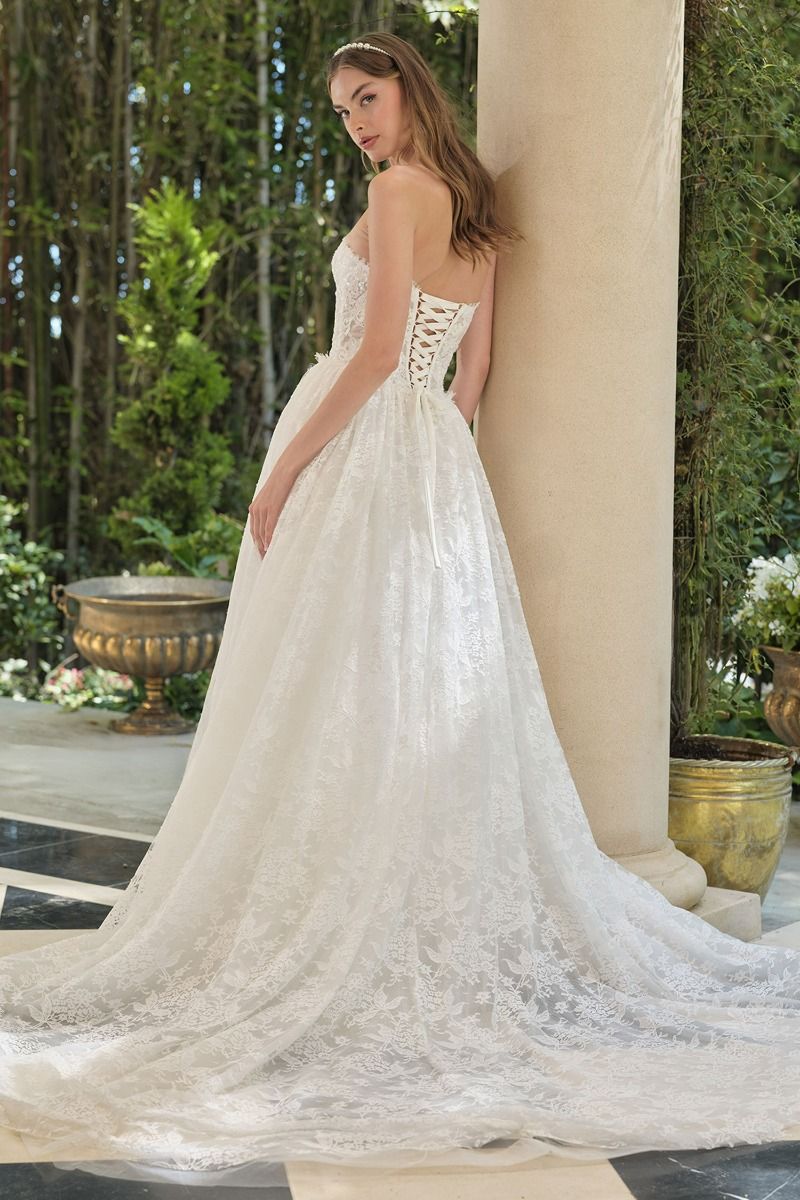 Model WL061