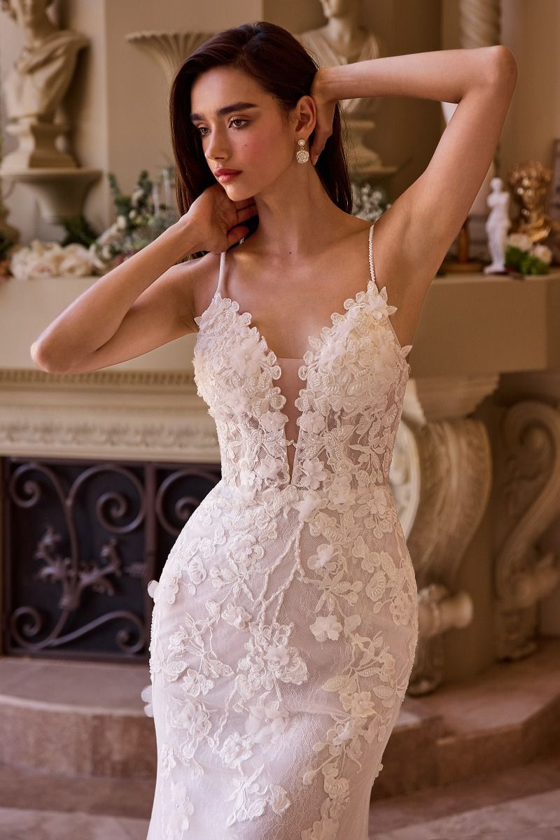 Model WL053