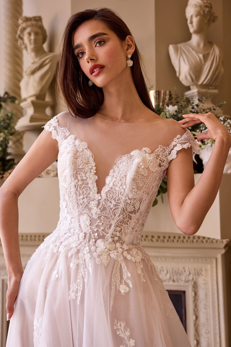 Model WL038