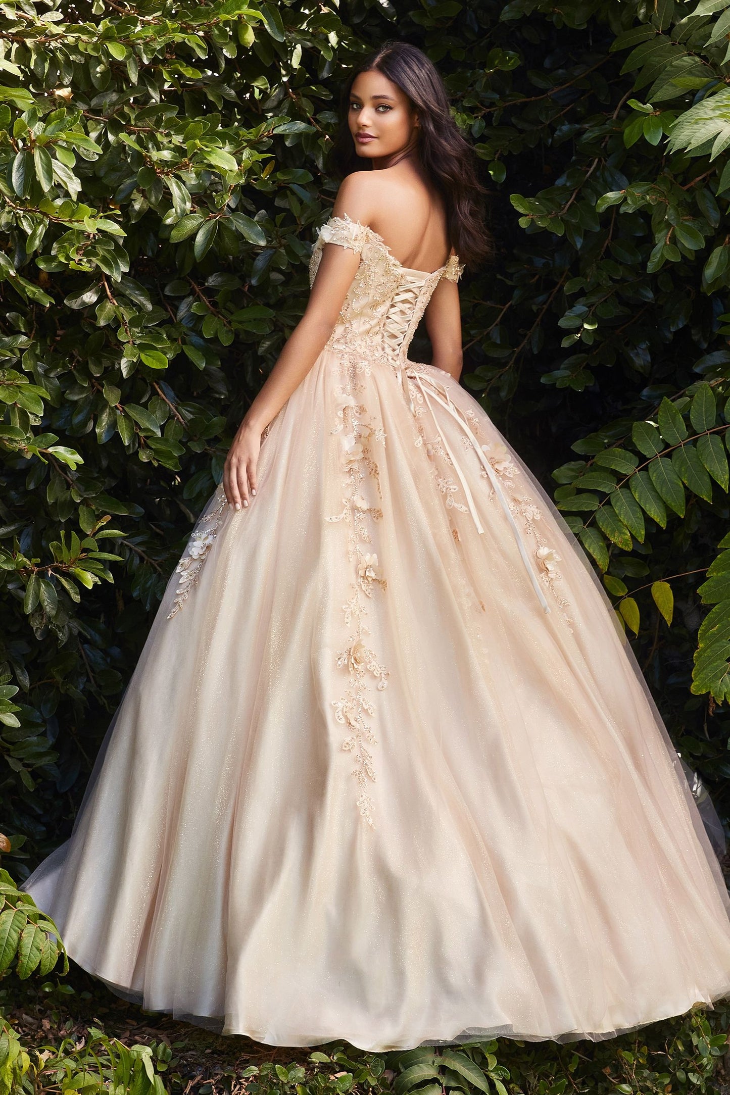 Model CD0185