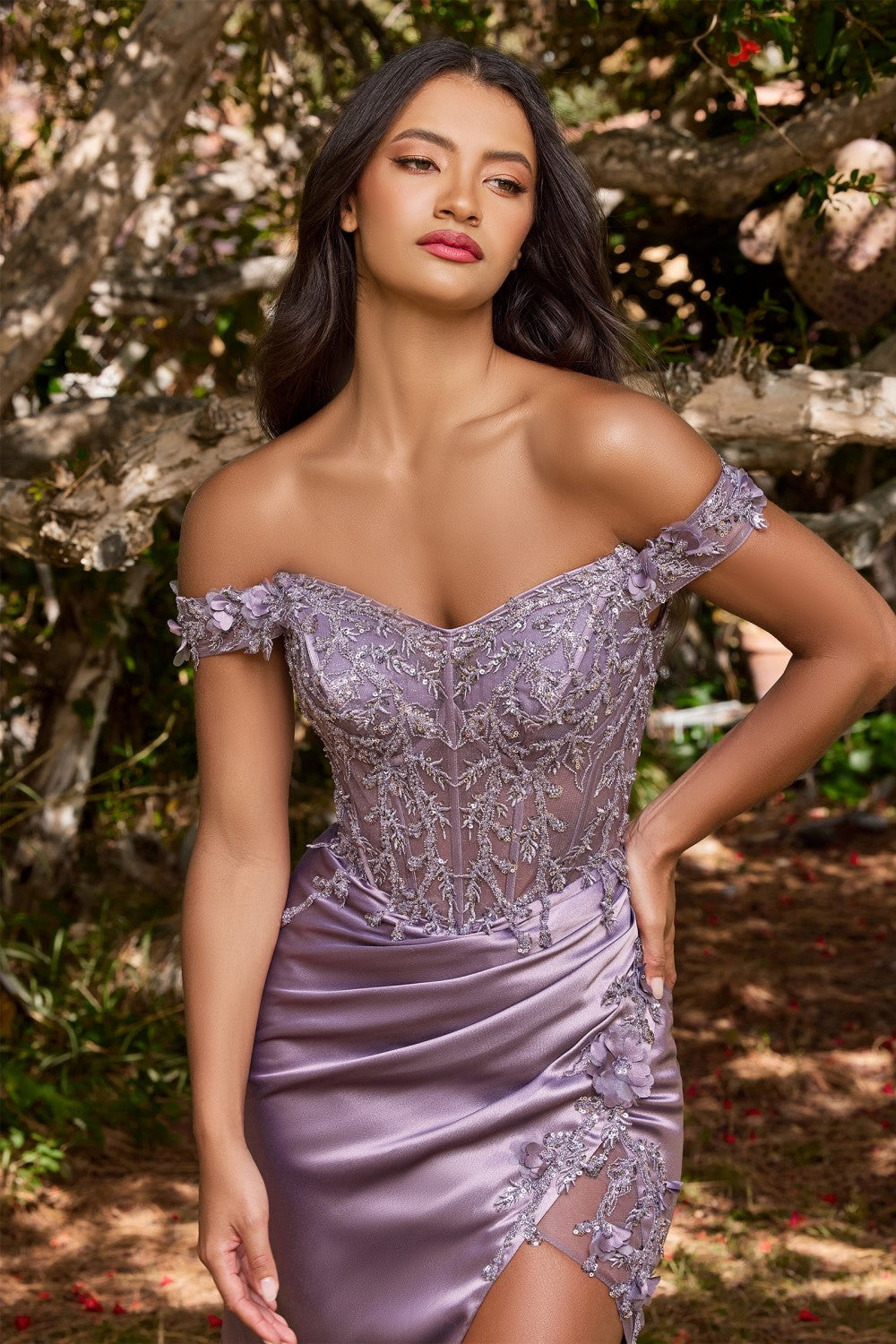 Model CD0186