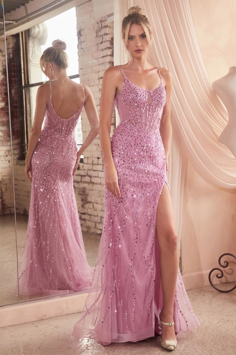 Modelo CD0220