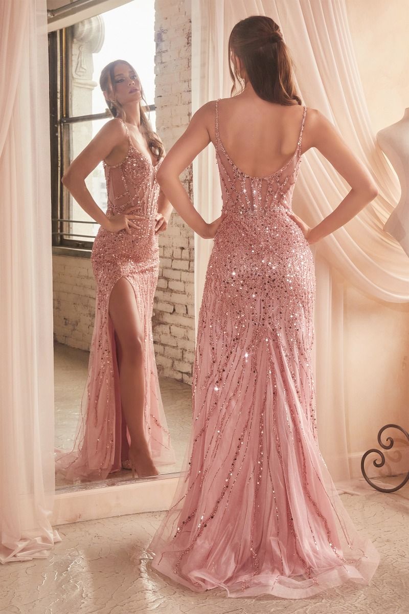 Modelo CD0220
