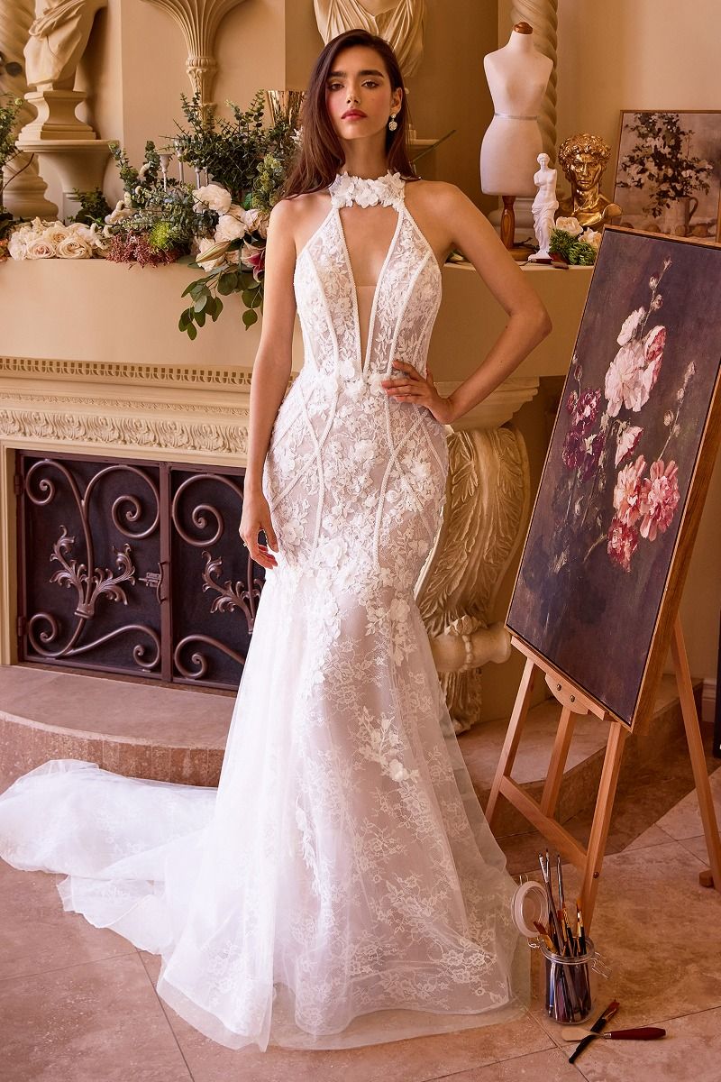 Model WL019