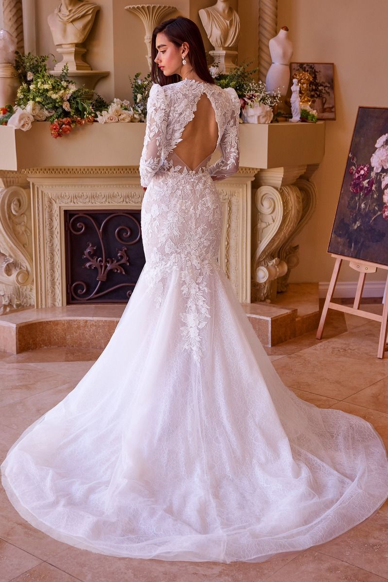 Model WL036