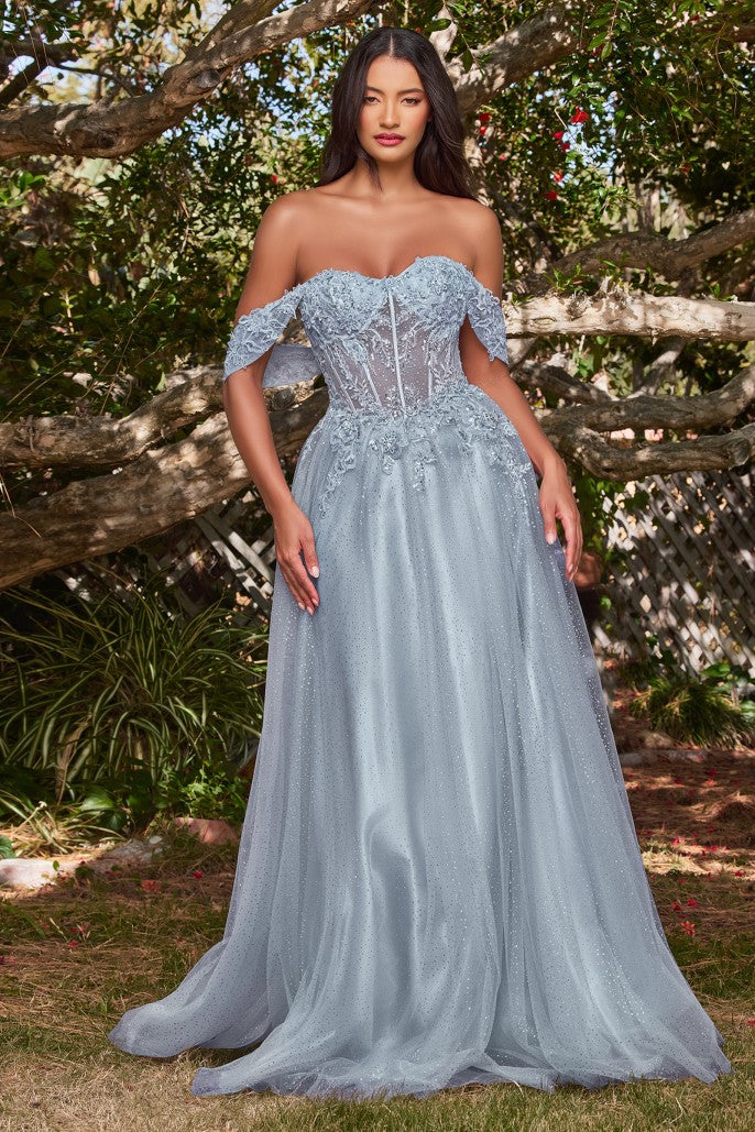 Model CD0198