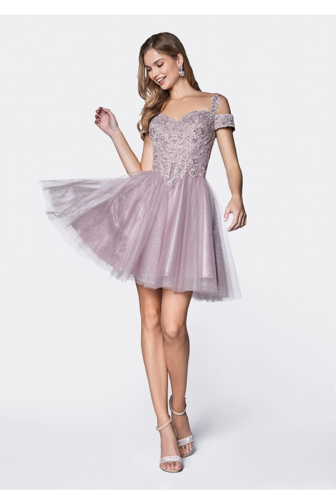 Model CD0132