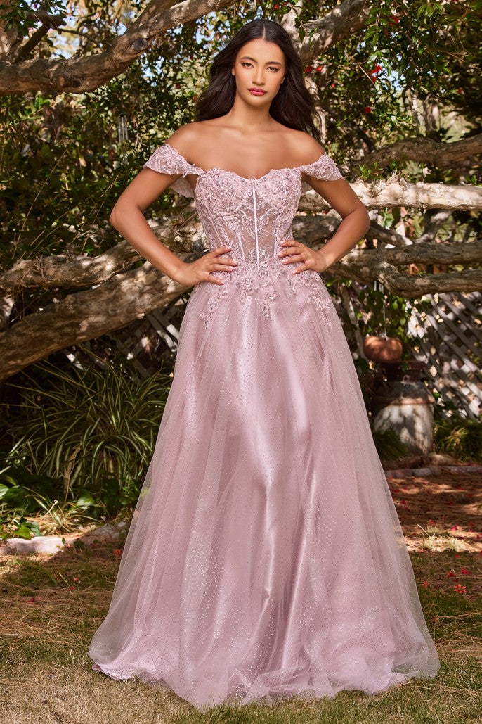 Model CD0198