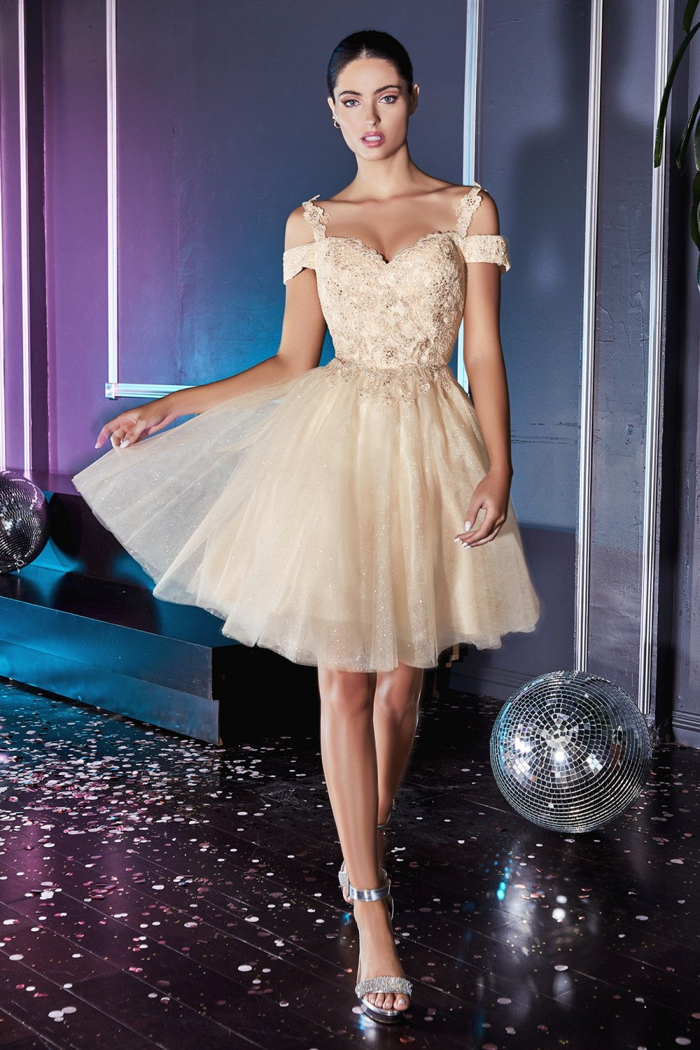 Model CD0132