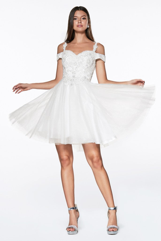 Model CD0132