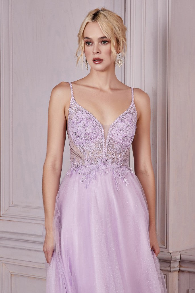 Model CD0195