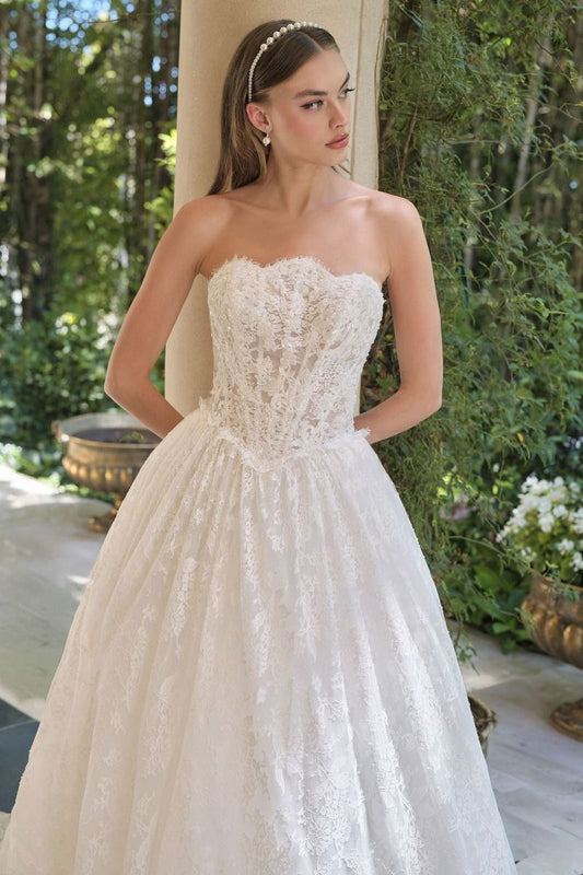 Model WL061