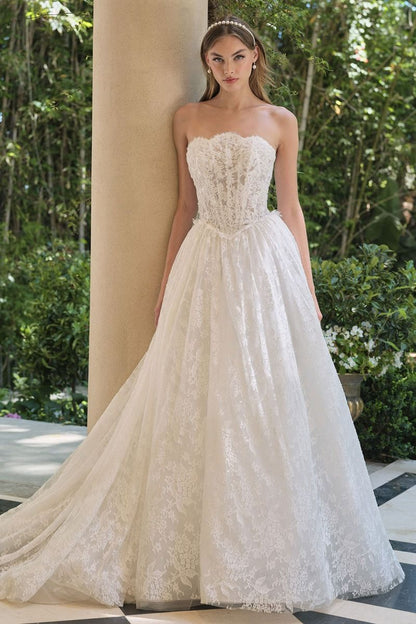 Model WL061