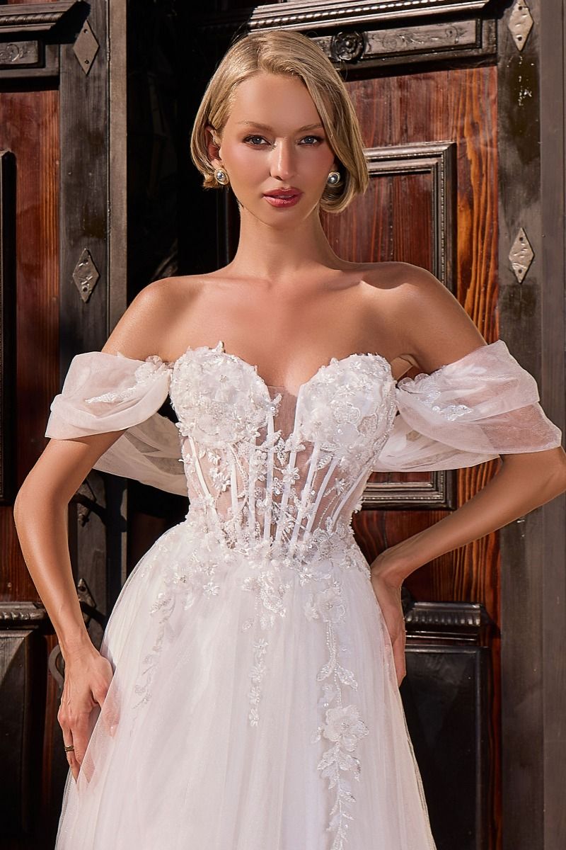 Model CD2426W