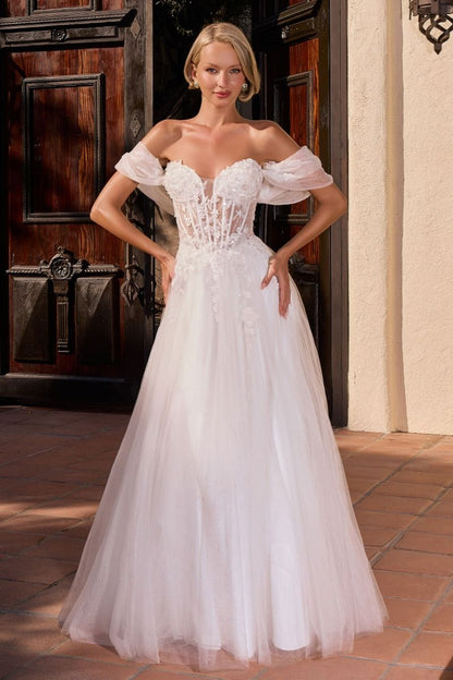 Model CD2426W