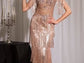 Model CDS563