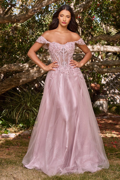 Model CD0198