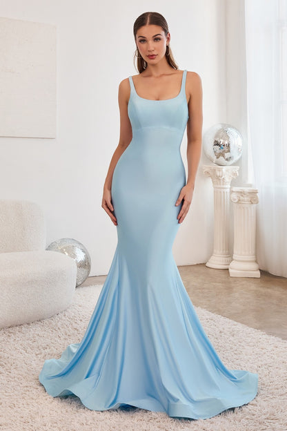 Modelo CD2219