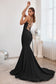 Modelo CD2219